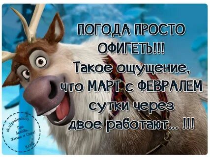 Открытки про погоду смешные - 33 фото