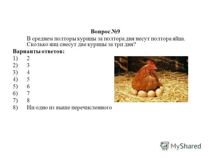 Сколько несет яиц в день