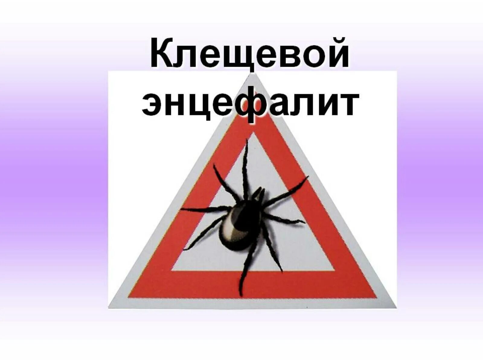 Клещевойщевой энцефалит. Клещевой энцефалит рисунок. Клещевой вирусный энцефалит.