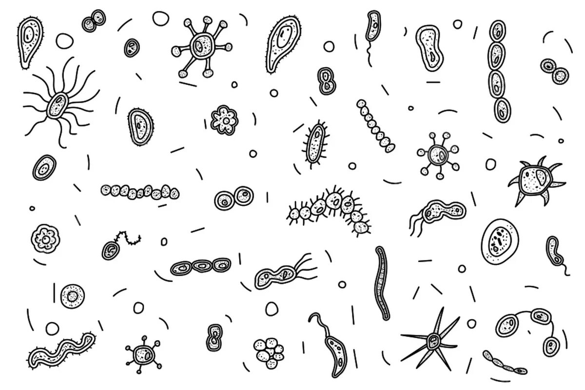 Микро рисунки. Микроорганизмы черно белое. Бактерии раскраска для детей. Раскраска микробы и бактерии для детей. Микробы раскраска для детей.