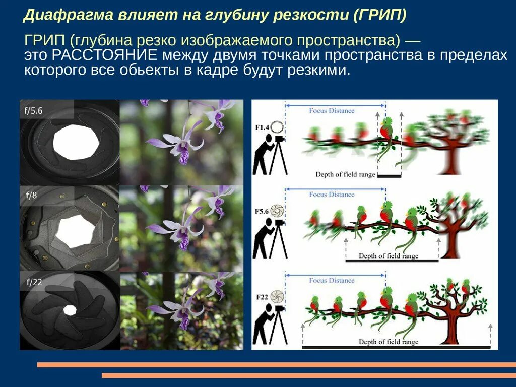 Глубина резкости. Грип глубина резкости изображаемого пространства. Глубина резкости в фотоаппарате. Диафрагма фотоаппарата глубина резкости. Глубина резкости в мире нет