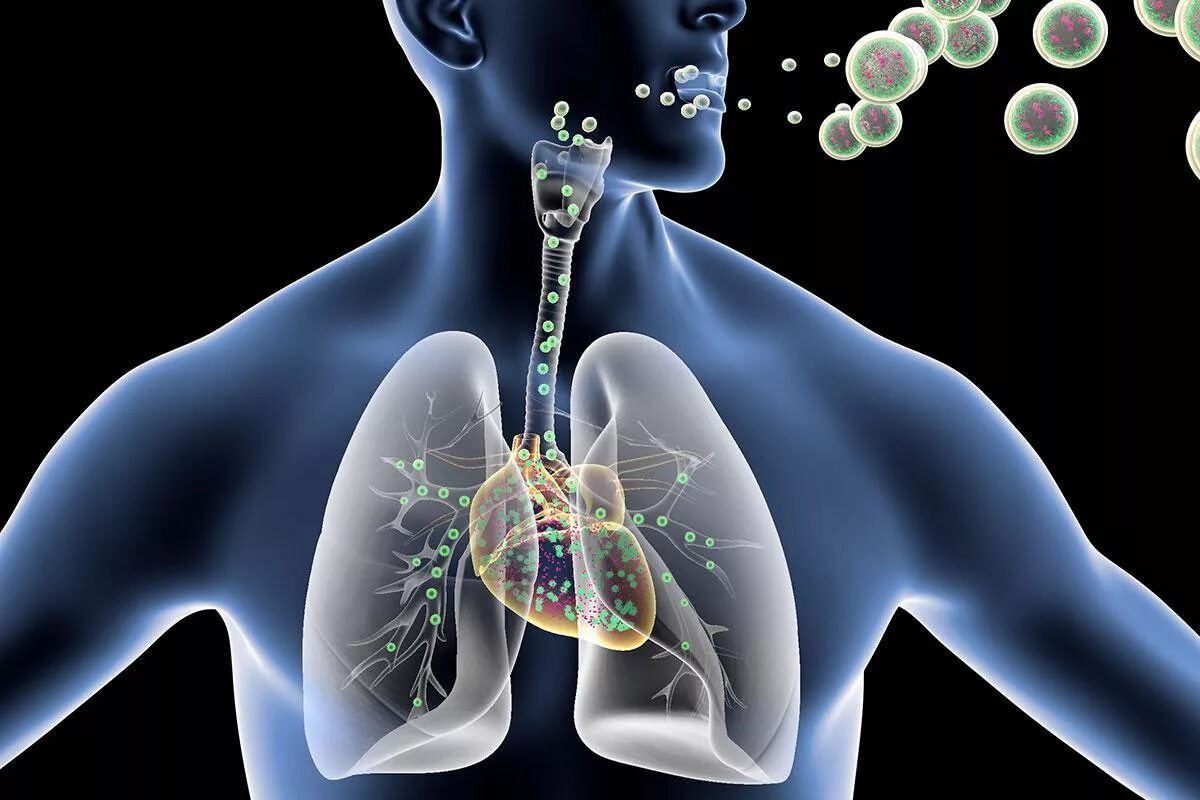 При дыхании человек выдыхает углекислый газ. Дыхание. Дыхательная система. Дыхание человека. Человек дышит.
