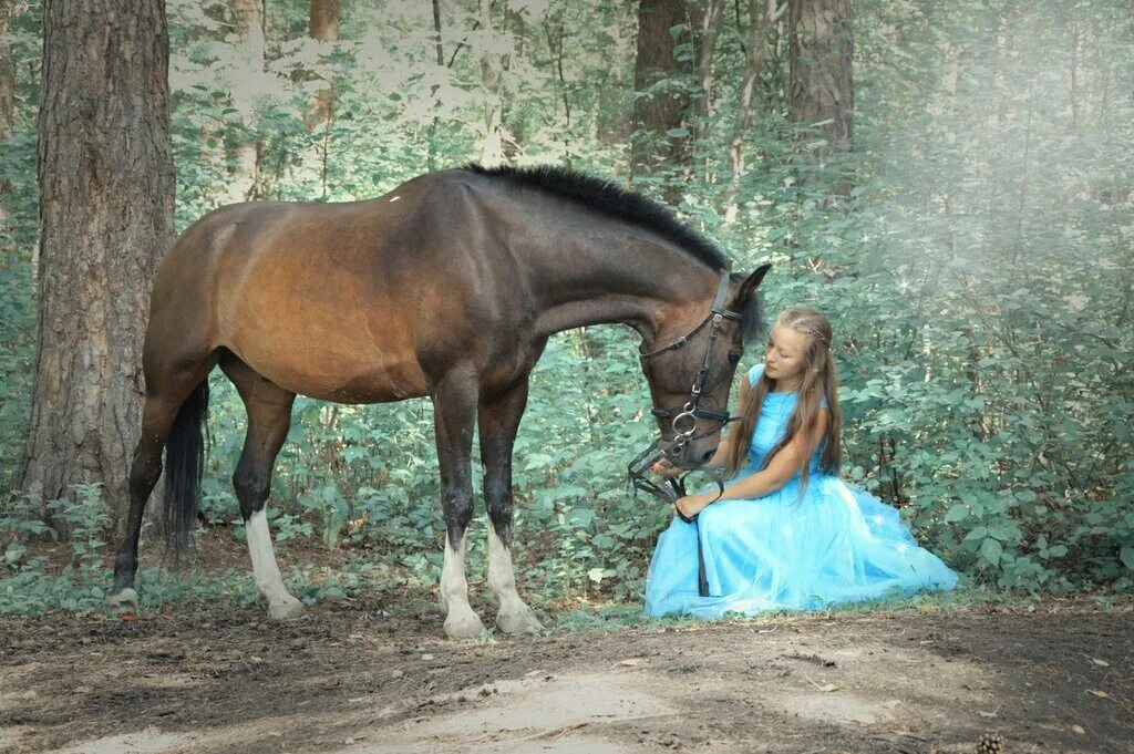 лошадь е е б. кони екатеринбург. золотая подкова саратов конный клуб. клуб белая лошадь екатеринбург. кск белая лошадь екатеринбург.