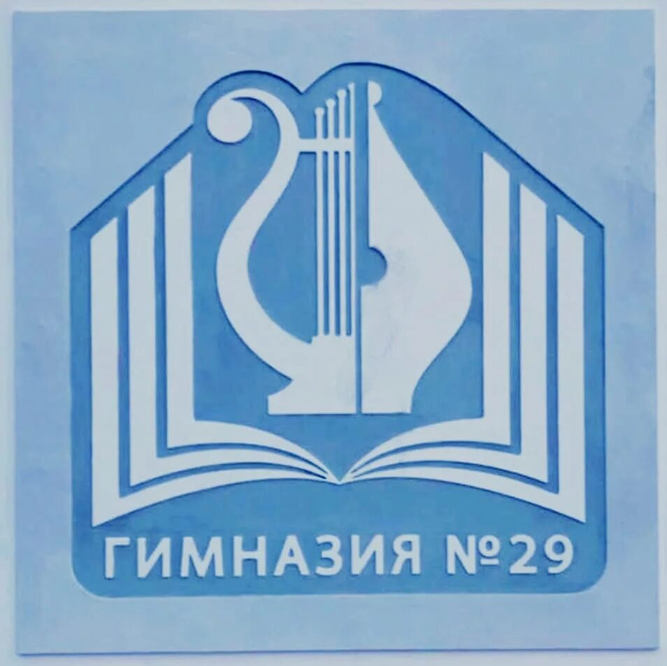 Муниципальное бюджетное общеобразовательное учреждение 29