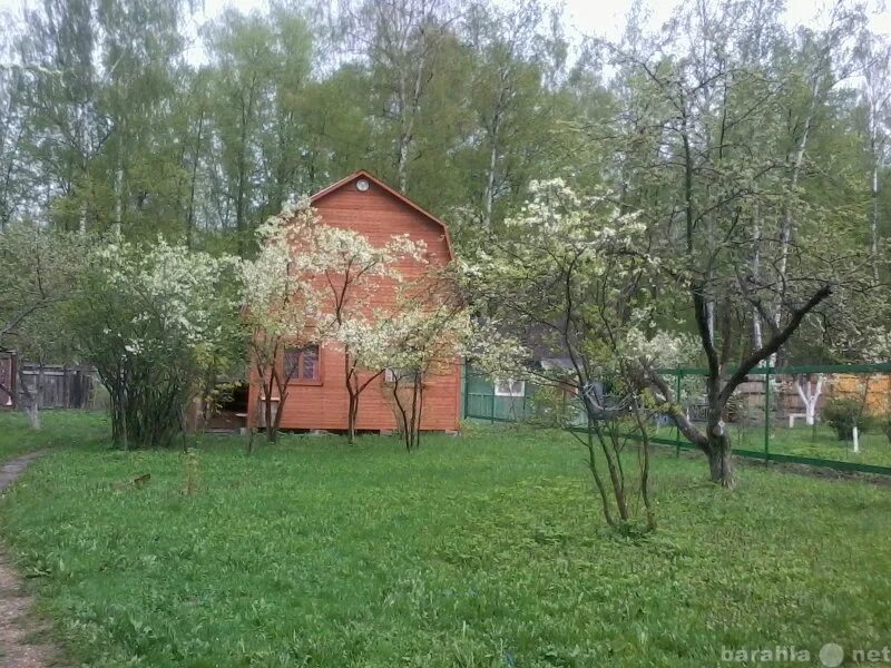 Купить снт электросталь. СНТ Электросталь Восток Электросталь. СНТ Дружба Электросталь. Лесная Поляна Электросталь. СНТ Лесная Поляна Электросталь.