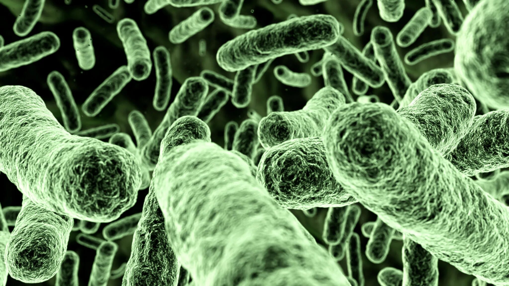 Бактерии. Микроорганизмы на коже человека. Патогенные бактерии под микроскопом.