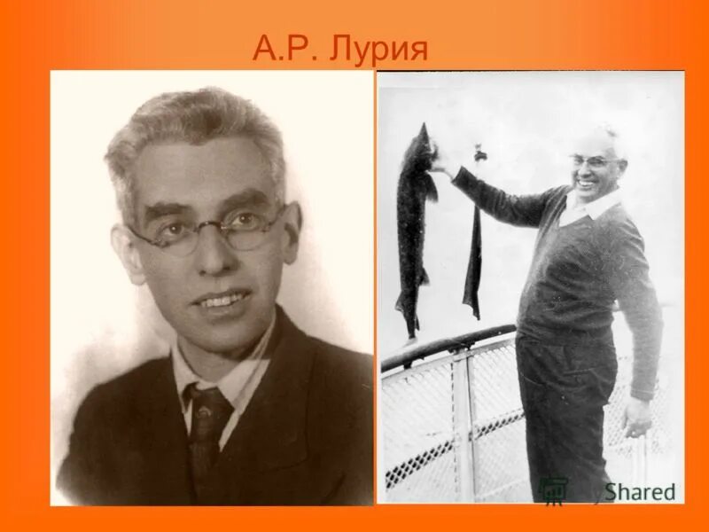александр лурия психолог. а р лурия психолог. а р лурия психолог. а р лурия психолог. лурия (1902-1977).