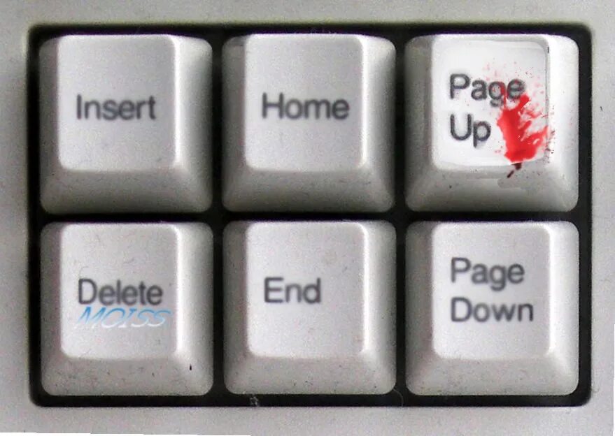 Page up какая клавиша. Клавиша page up. кнопка page up. кнопка page up на клавиатуре. клавиша page down.