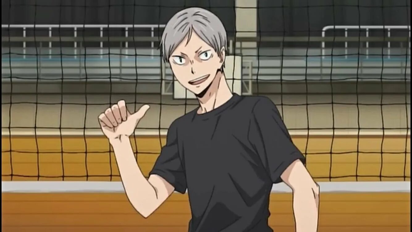 Львы про волейбол. Лев хайба. лев хайба волейбол.