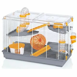 Hamster 25