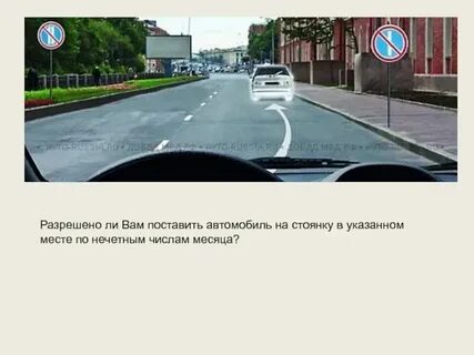 Допускает ли закон