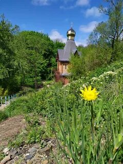 Невское луганская область