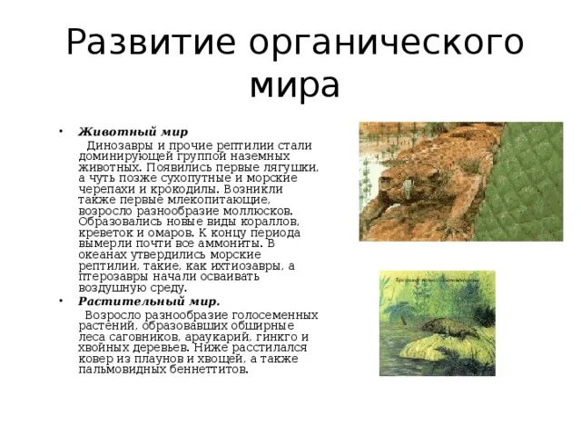 История развития органического мира на земле проект Какой факт из биологии может вынести мозг человеку, который далёк от этой науки