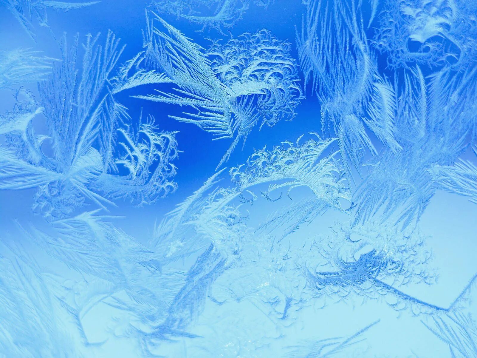 Морозные узоры. Зимние узоры. Зимний фон. Морозный фон. Синяя метель