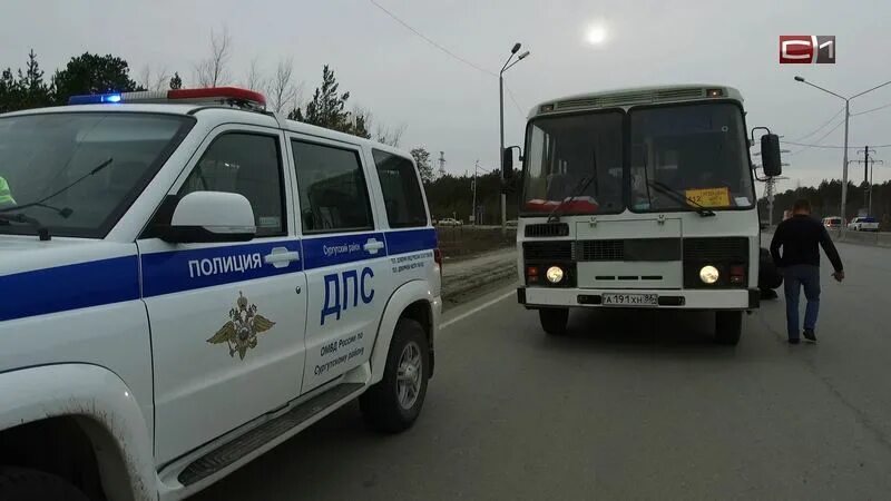 Сургут белый яр автобус. Сургут поселок солнечный. Сургут белый яр автобус. Автобус "полиция". Сургут 2023.