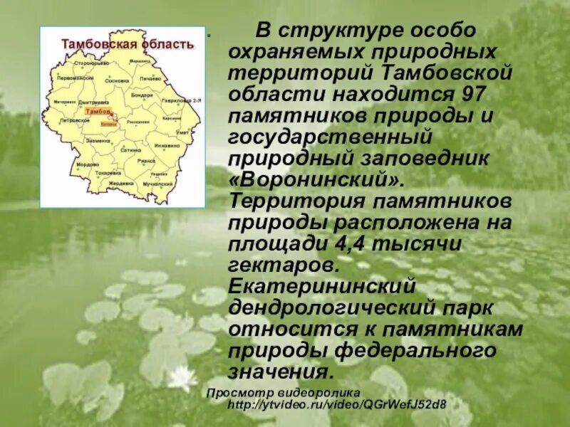 Памятники природы Тамбовщины. Экономика Тамбовской области. Территория Тамбовской области. Сообщение о Тамбовской области.