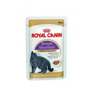 Royal canin для британских короткошерстных кошек