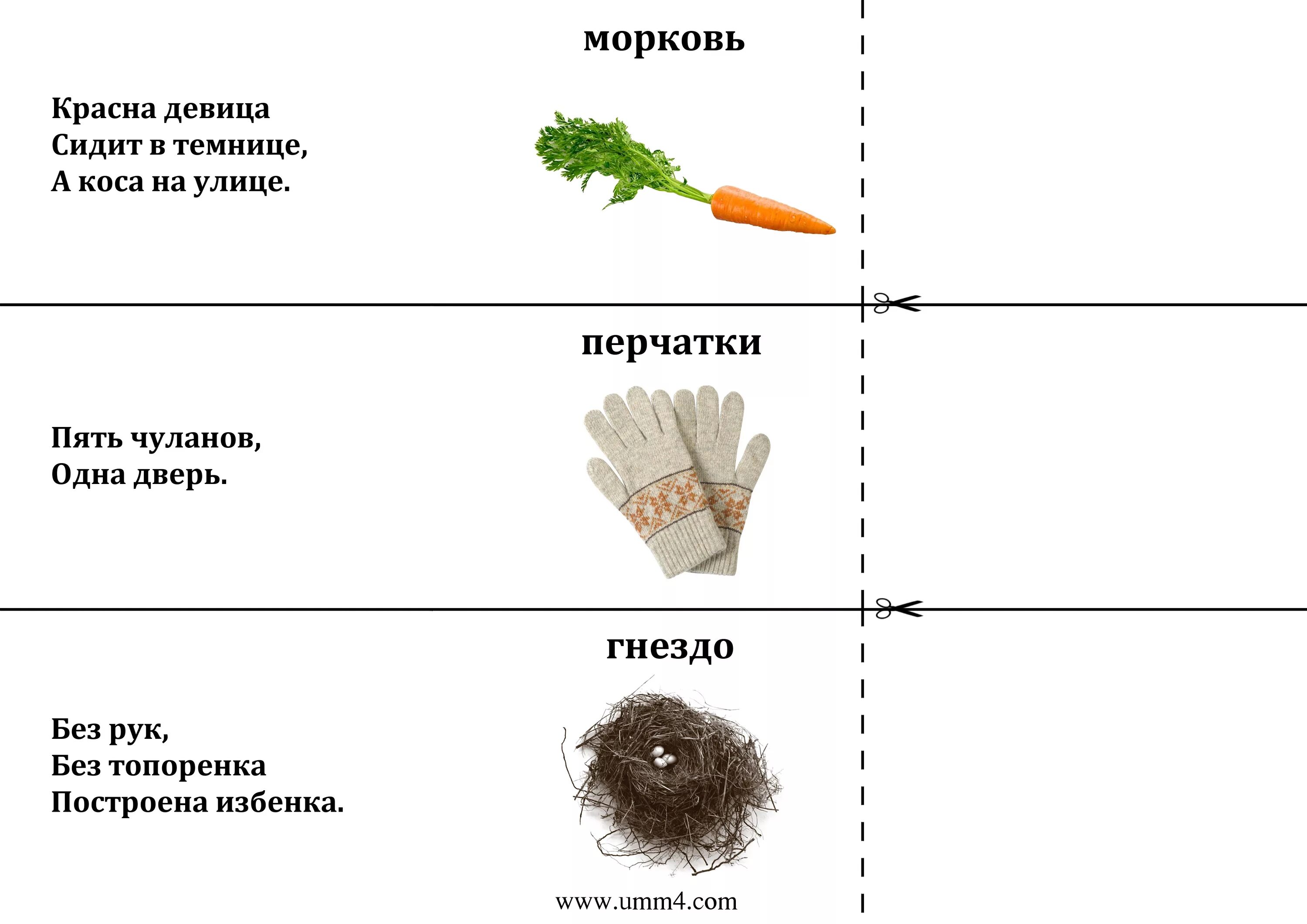 Картинки загадки. Загадки для детей 5 лет с ответами. Загадки и отгадки для дошкольников сложные. Сложные загадки с отгадками для детей. Детские лёгкие загадки с ответами.