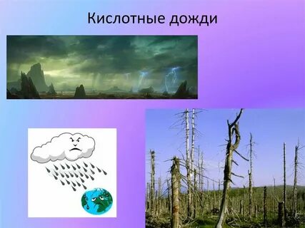 Как выглядит кислотный дождь