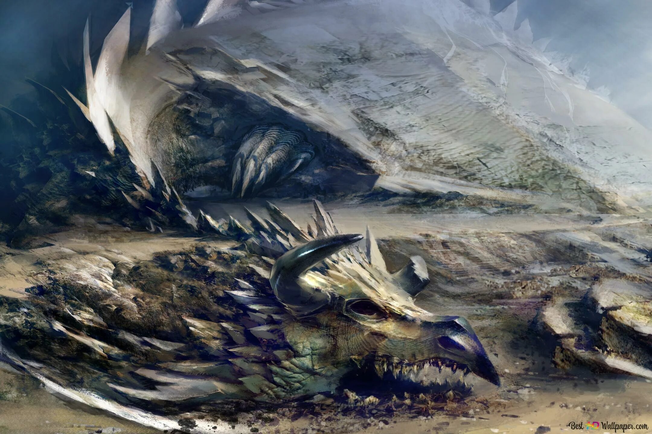 Добыча дракона. Guild Wars 2 арт с драконы. Огромный дракон. Дракон арт.
