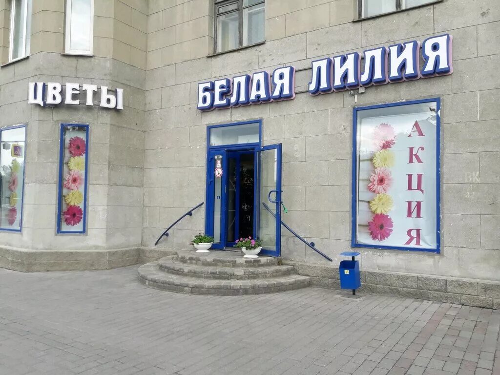Цветы белая лилия магнитогорск. Цветы белая лилия магнитогорск. Белая лилия волгодонск. Цветы белая лилия магнитогорск. Белая лилия салават.