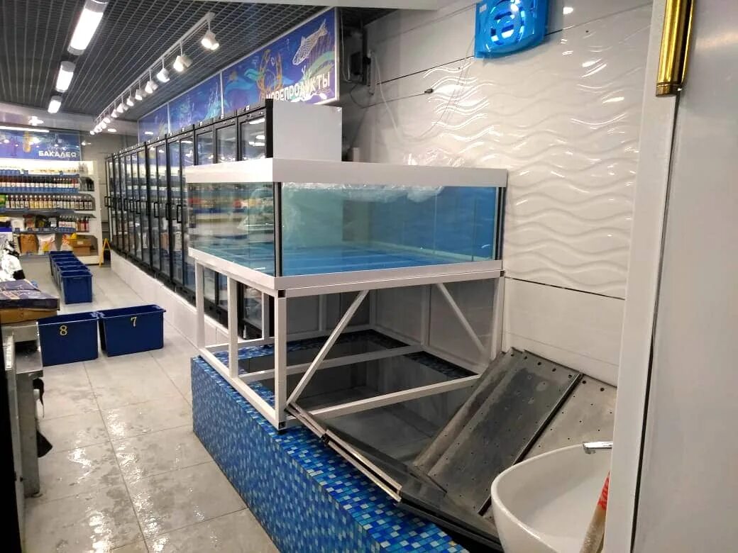 торговые аквариумы для живой рыбы. кавказская магазин живой рыбы. табличка живая рыба. аквариум в рыбном магазине. рыба в аквариуме в магазине.