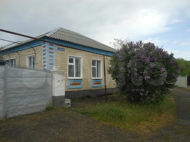 Село Спицевка Грачевского района. Село красное Грачевский район Ставропольский край. Село Спицевка Ставропольский край. Село Спицевка Грачевского района Ставропольского края.