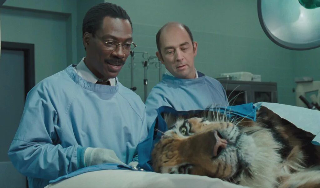 Фильм доктор дулиттл 2. Эдди мерфи доктор дулиттл. Доктор дулиттл фильм 2001. Доктор понимающий животных. Доктор понимающий животных.