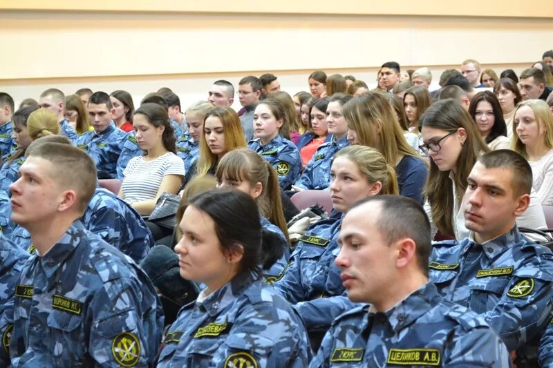 Институты службы исполнения наказаний. Владимирская Академия ФСИН. Владимирский юридический институт ФСИН России.