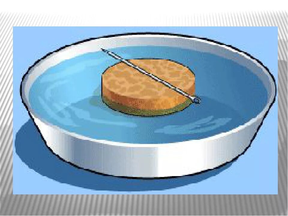 Опыты с иглой. Первый компас плавающая игла. Китайский компас с иглой. Компас с иголкой и водой. Компас из иглы и воды.