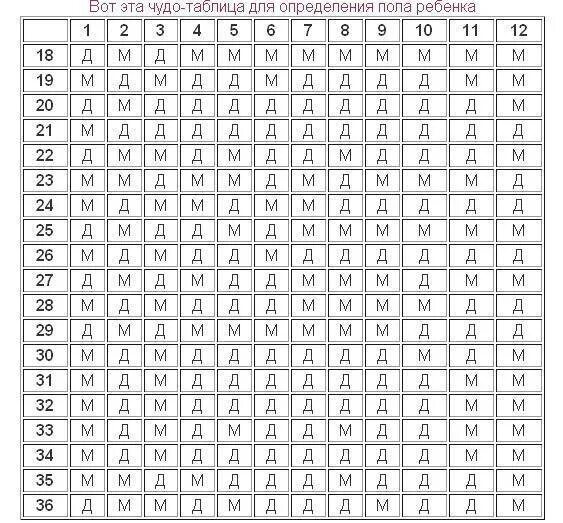 Пол ребенка по неделям беременности. На каком сроке определяют пол ребенка. Таблица определения пола. На какой неделе можно определить пол ребенка. В каком сроке можно узнать пол ребенка