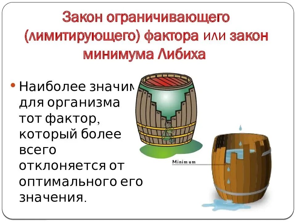 Закон ограничивающего фактора примеры. Закон ограничивающего фактора биология. Суть закона ограничивающего фактора. Закон ограничивающего фактора смысл. Лимитирующие факторы лесов