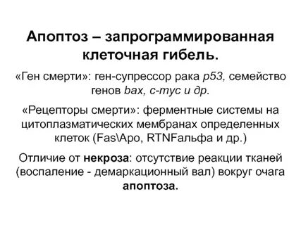 Запрограммированная гибель клетки