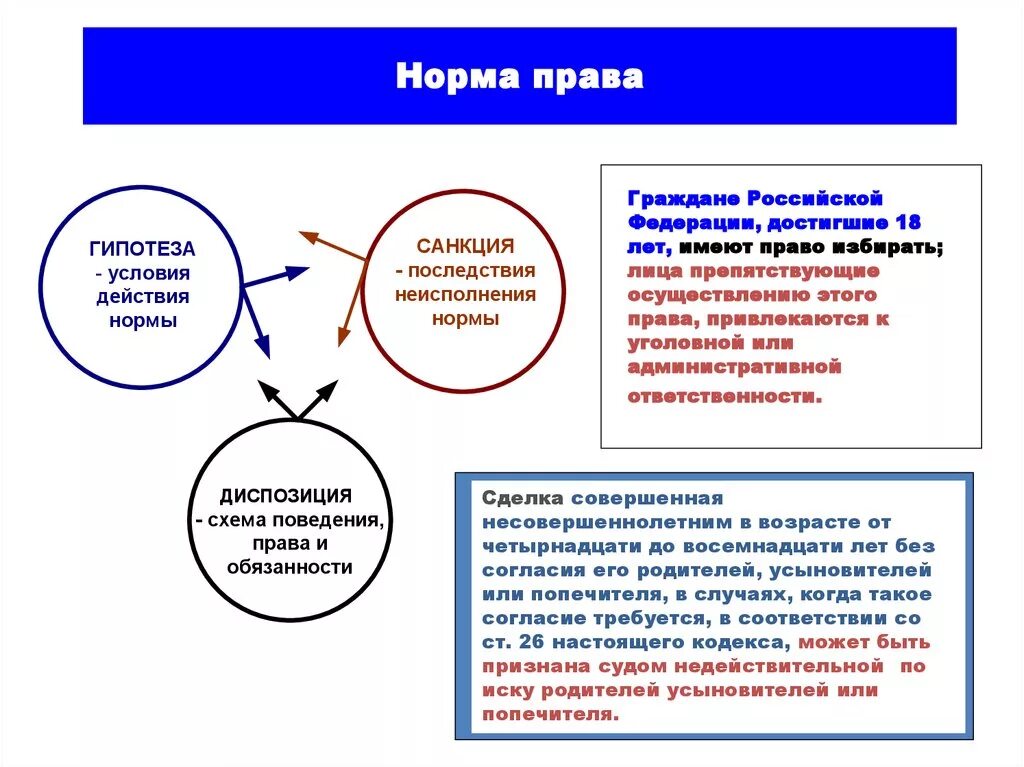 Разделы обществознания. Теория это в обществознании. Человек и общество егэ теория. Разделы по обществознанию. Полномочия для егэ по обществознанию 2022.