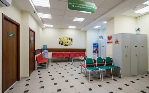 Цэлт на шоссе энтузиастов сайт