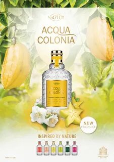 Colonia c l u b