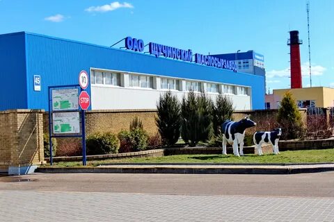 Филиалы оао