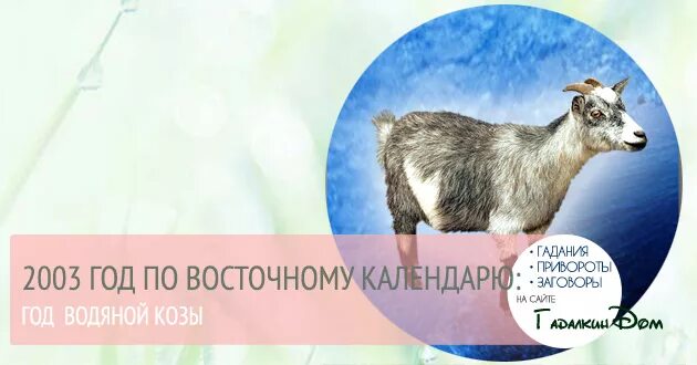 2003 Год кого был. 2003 Год год водяной козы. Какой год в 2003 животное. 2003 Год по гороскопу.