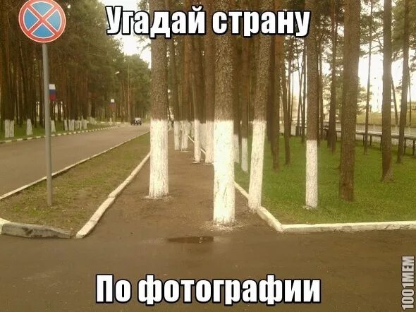 угадай страну россия. включи навык угадай страну. угадай страну приколы. угадай страну. включи навык угадай страну.