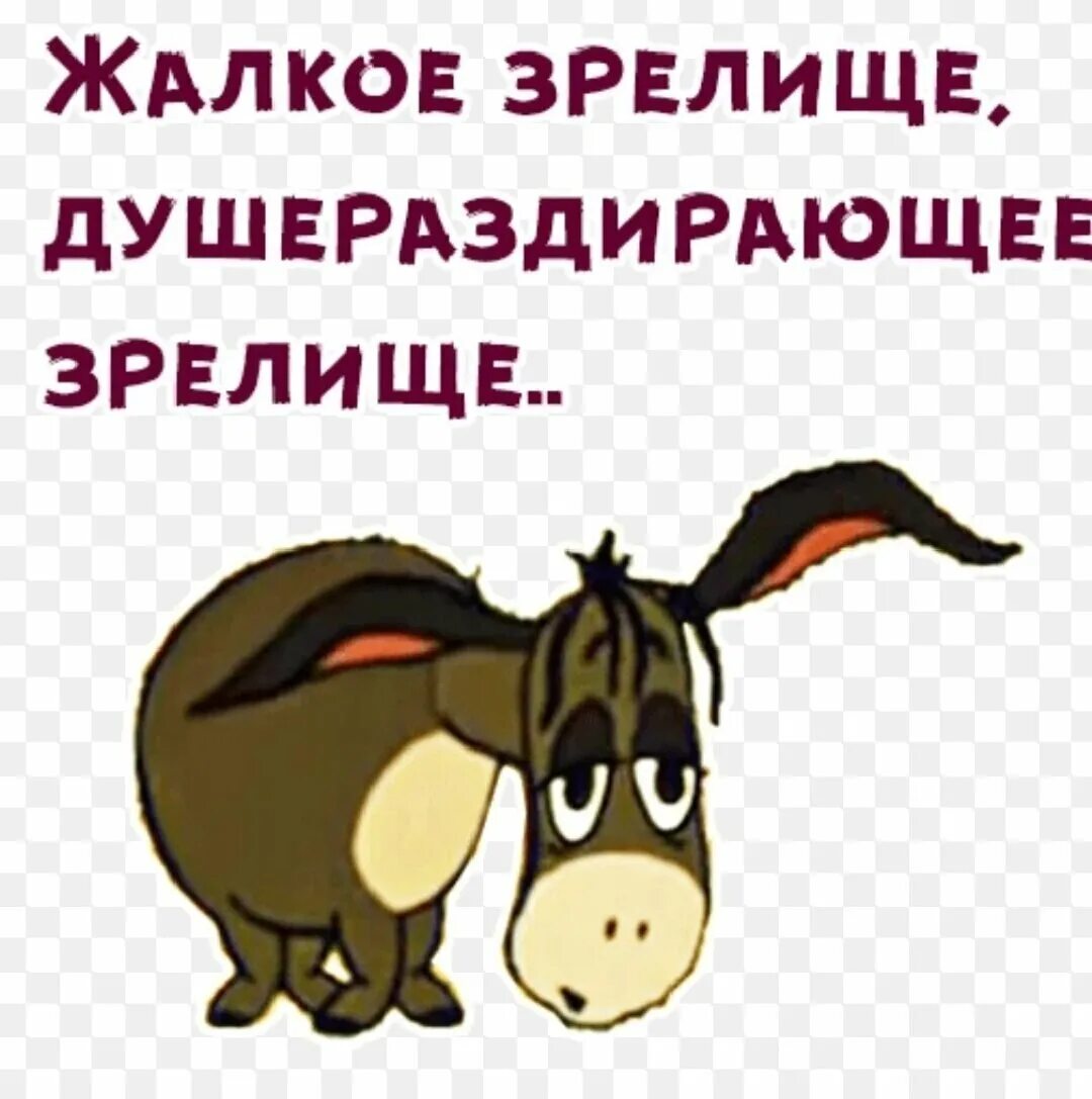 Удручающее зрелище. Ослик иа жалкое зрелище душераздирающее зрелище. ослик иа. ослик душеращдтрабщее зоелтцще. ослик иа цитаты.