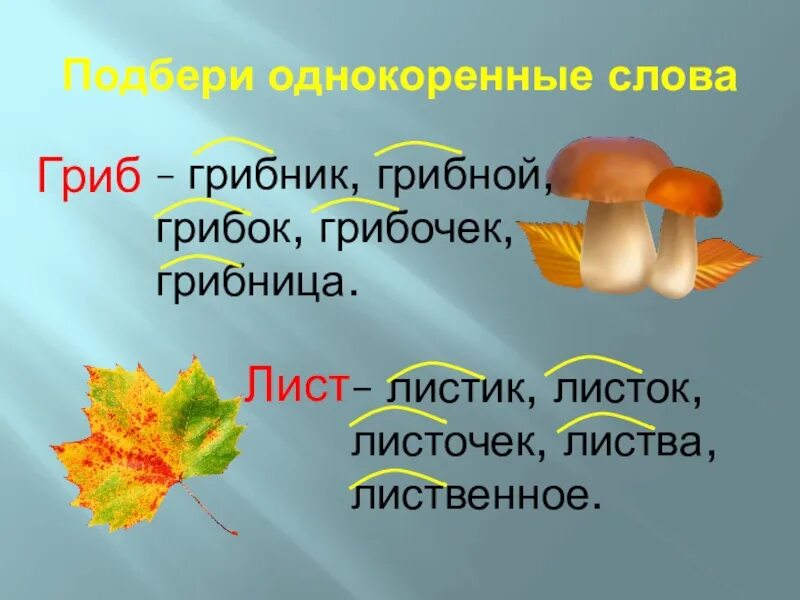 Водянистый однокоренные слова. Гриб однокоренные слова. Однокоренные слова 3 класс. Много однокоренных слов. Однокоренные слова 3 класс примеры.