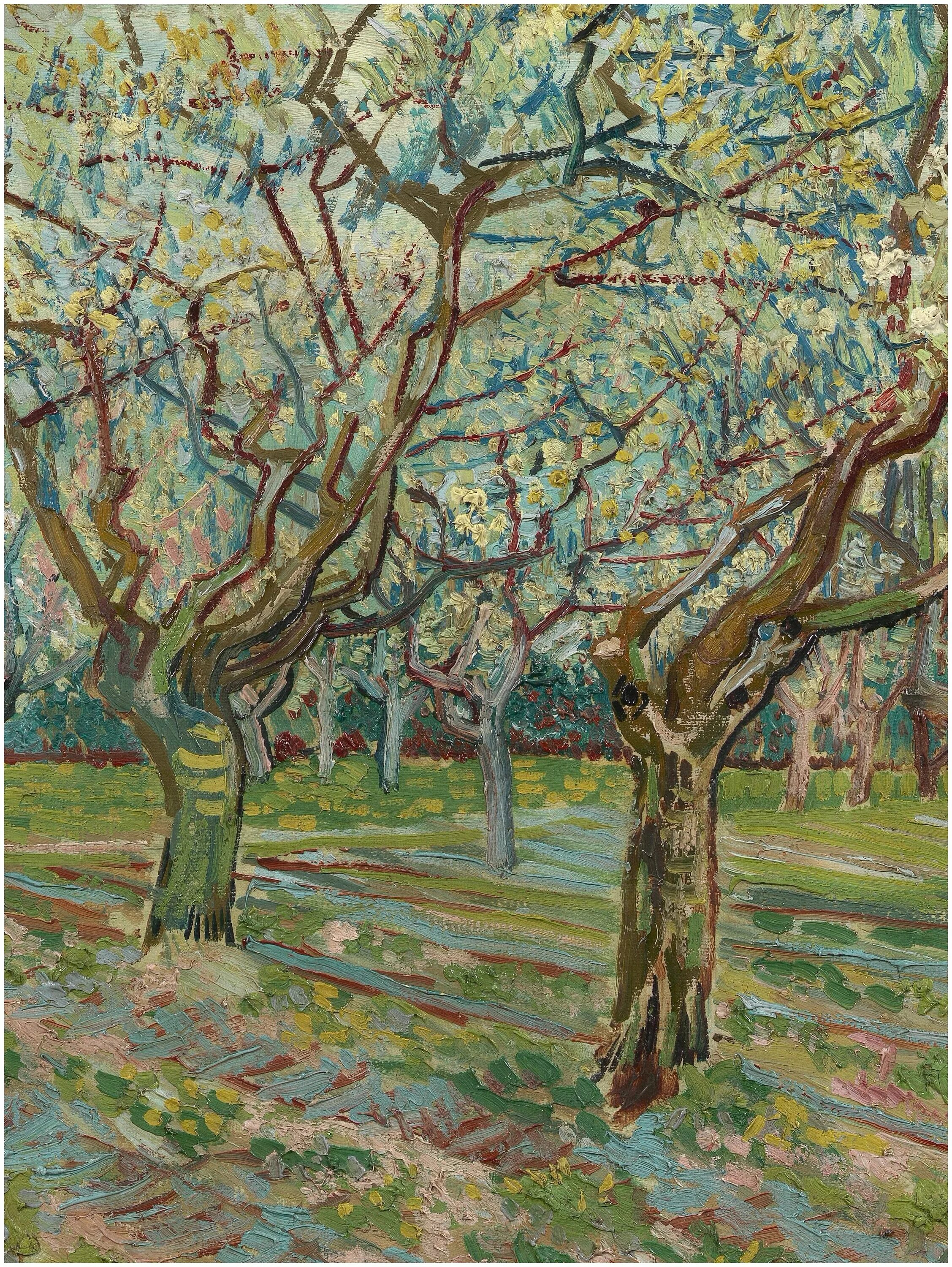 постимпрессионизм ван гог. винсент ван гог яблоневый сад. цветущий сад с тополями ван гог. ван гог цветущий сад 1888. винсент ван гог «цветущий сад с тополями».