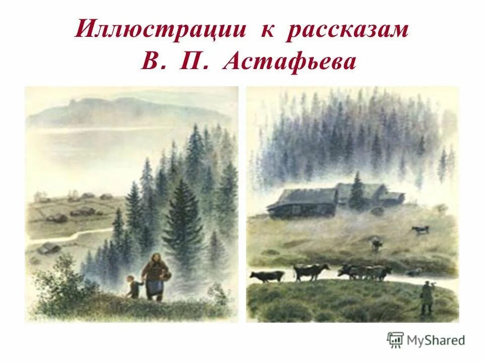 Рассказ деревья растут для всех. Иллюстрации к рассказу Астафьева деревья растут для всех. Деревья растут для всех Астафьев. Иллюстрации к произведениям Астафьева в.п.. Иллюстрированные рассказы Астафьева.