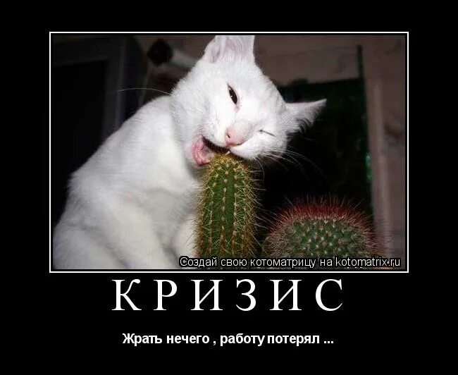 Дома жрать нечего. Картины жрать нечего. Картины жрать нечего. Блинчики на масленицу. Жрать нечего.