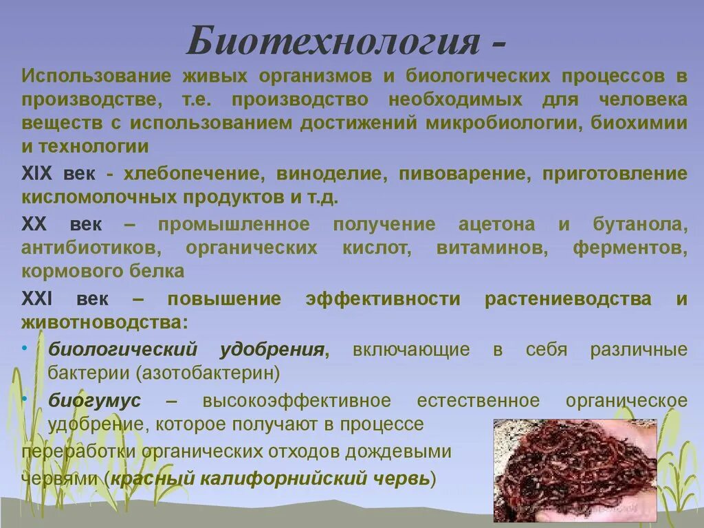 Биотехнология является