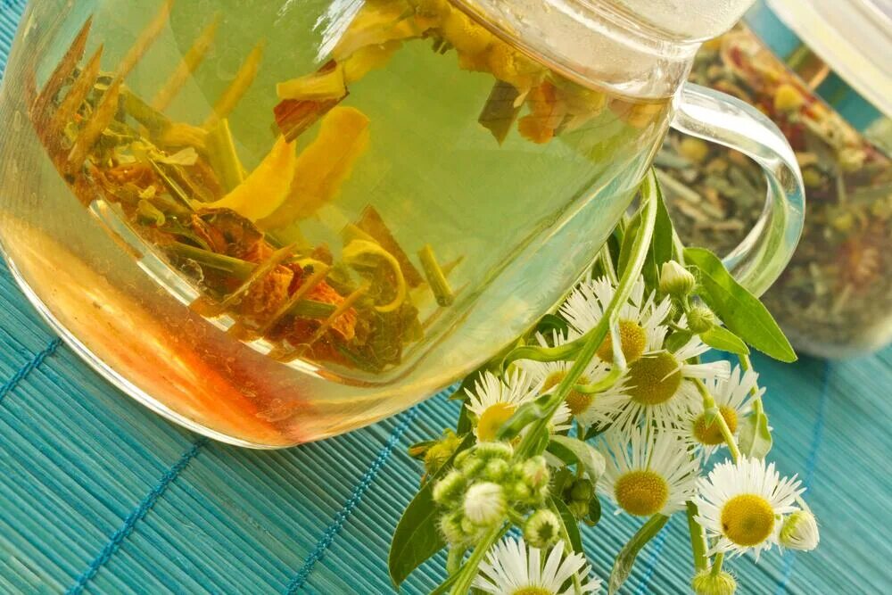 Травяной чай. Травяной чай из душицы. Чай из валерианы и мяты. Душевный настой. Как заваривать и пить травы