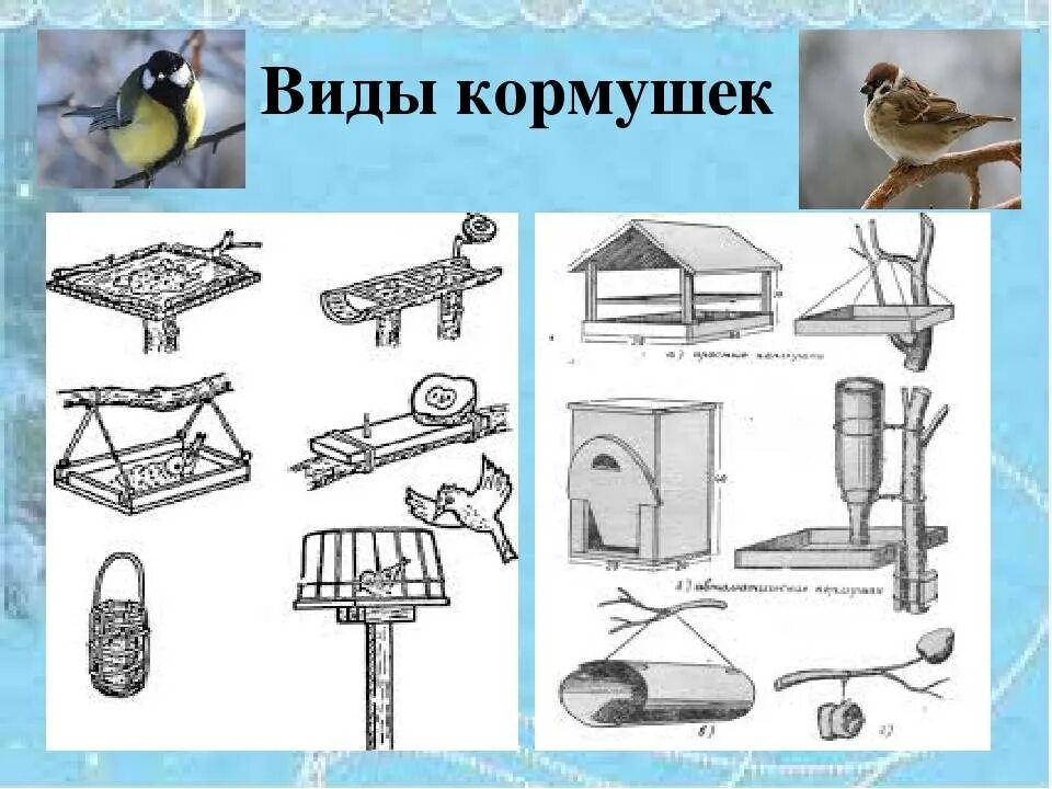 Для каких птиц используют кормушки. Виды кормушек. виды кормушек для птиц. кормушки виды кормушек. виды кормушек для зимующих птиц.
