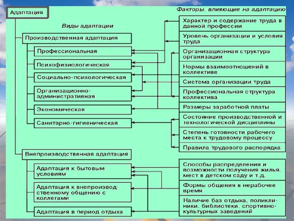 Процедура адаптации. Схема процесс трудовой адаптации. Процесс профессиональной адаптации персонала в организации. Виды адаптации персонала схема. Процесс адаптации персонала схема.