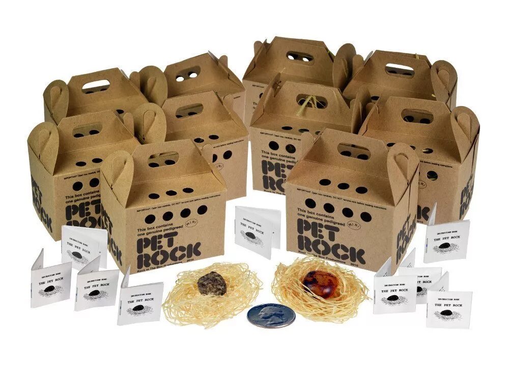 Pet kit. Гэри даль. Pet Rock. Каменный питомец. Камень домашний питомец.