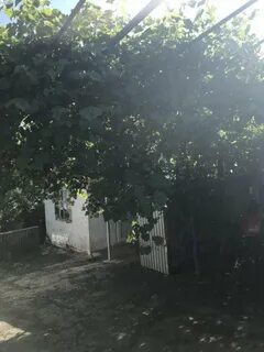 Погода в дефановке